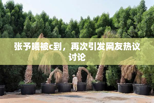 张予曦被c到，再次引发网友热议讨论