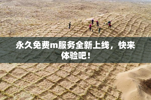 永久免费m服务全新上线，快来体验吧！