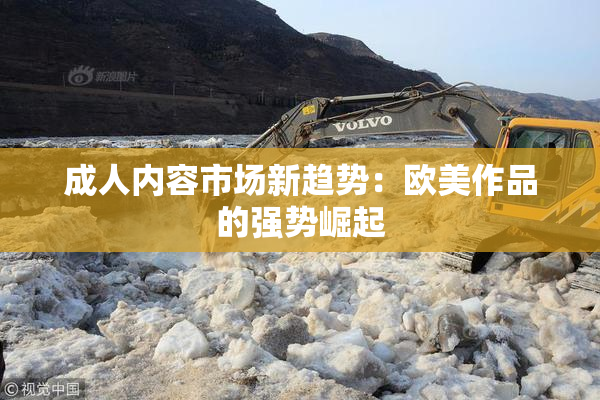 成人内容市场新趋势：欧美作品的强势崛起