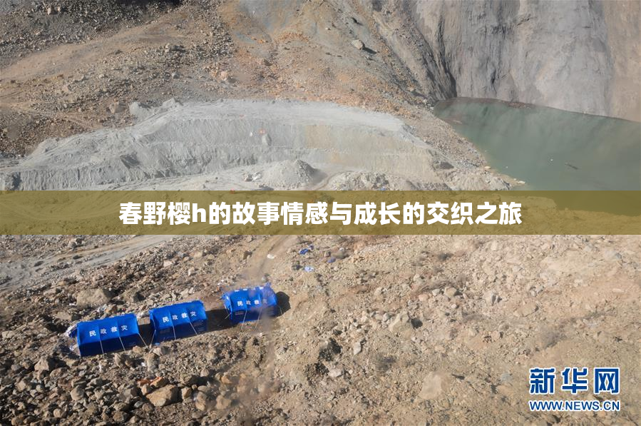 春野樱h的故事情感与成长的交织之旅