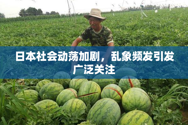 日本社会动荡加剧，乱象频发引发广泛关注