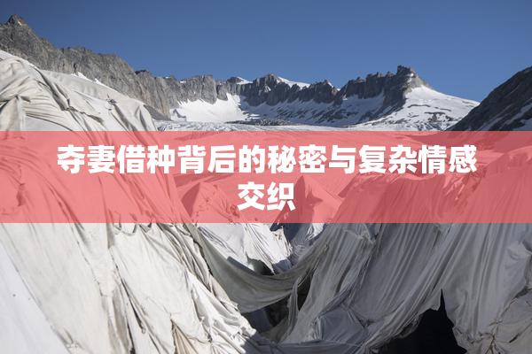 夺妻借种背后的秘密与复杂情感交织