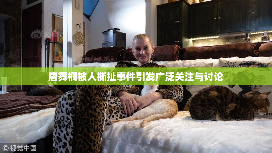 唐舞桐被人撕扯事件引发广泛关注与讨论