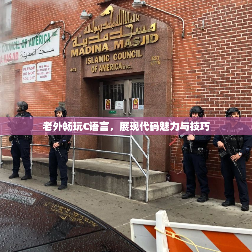 老外畅玩C语言，展现代码魅力与技巧