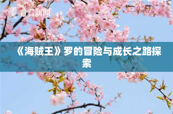 《海贼王》罗的冒险与成长之路探索