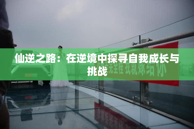 仙逆之路：在逆境中探寻自我成长与挑战