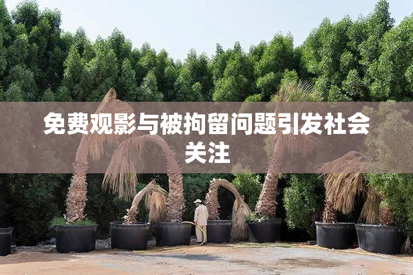 免费观影与被拘留问题引发社会关注