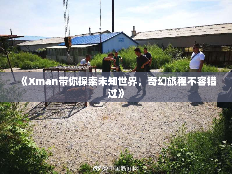 《Xman带你探索未知世界，奇幻旅程不容错过》