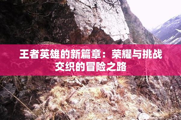 王者英雄的新篇章：荣耀与挑战交织的冒险之路