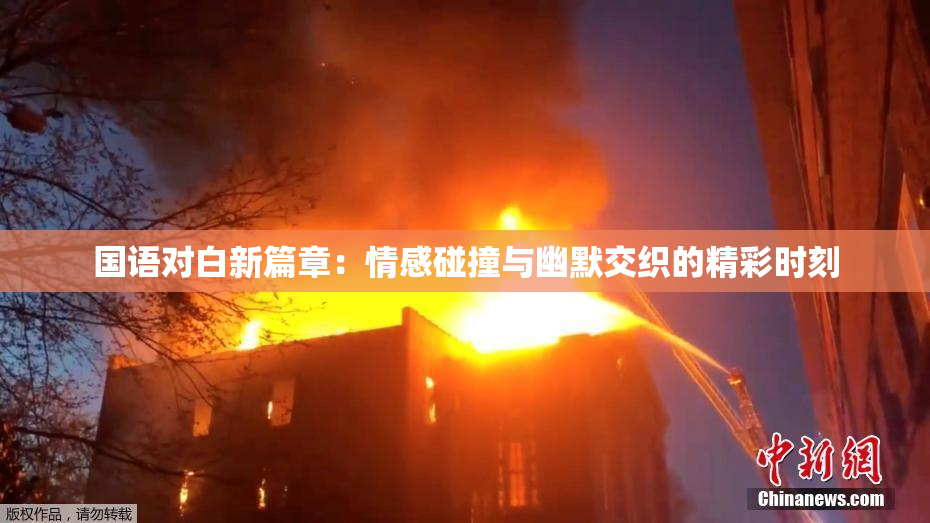 国语对白新篇章：情感碰撞与幽默交织的精彩时刻