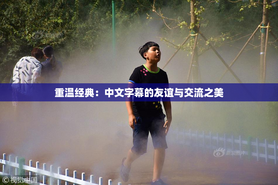 重温经典：中文字幕的友谊与交流之美