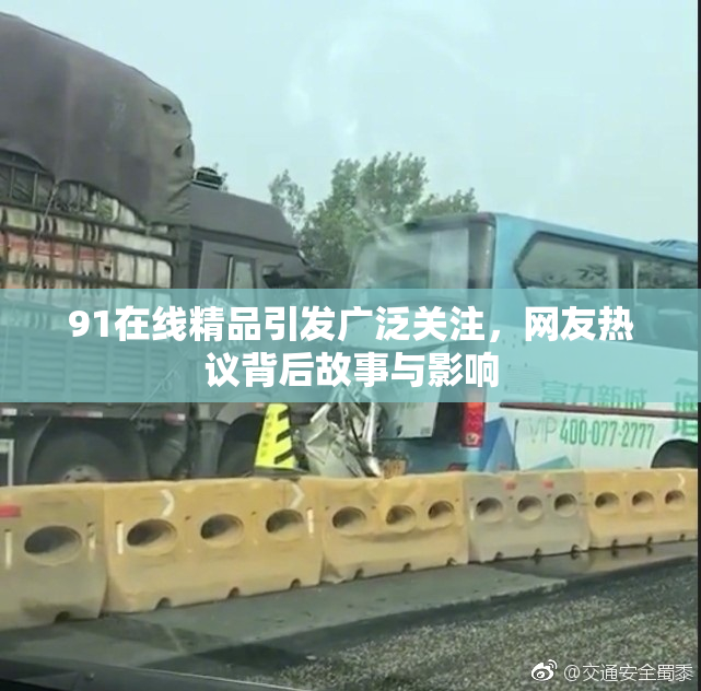 91在线精品引发广泛关注，网友热议背后故事与影响