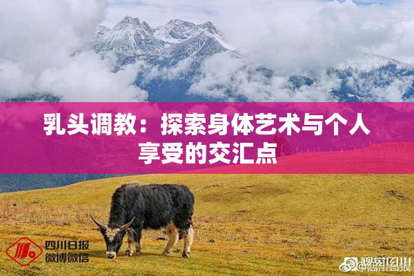 乳头调教：探索身体艺术与个人享受的交汇点