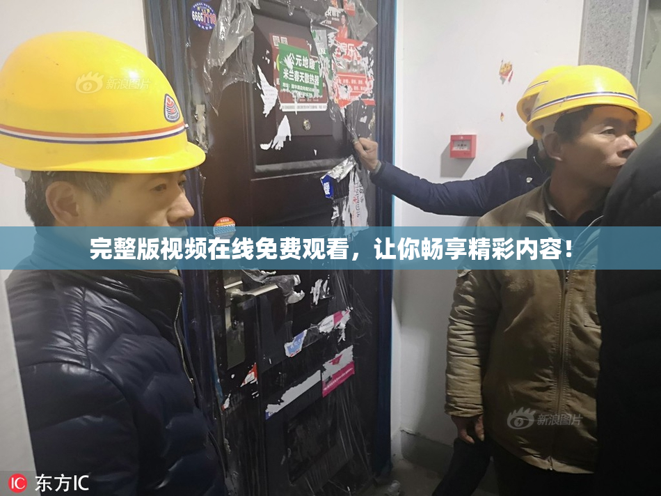 完整版视频在线免费观看，让你畅享精彩内容！