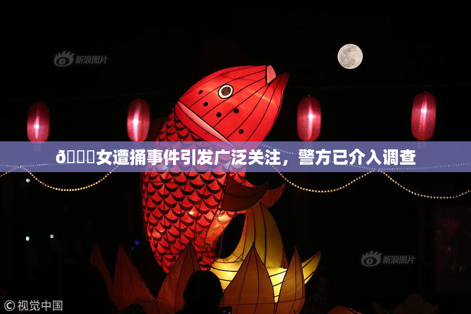 🔞女遭捅事件引发广泛关注，警方已介入调查