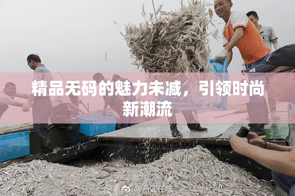 精品无码的魅力未减，引领时尚新潮流