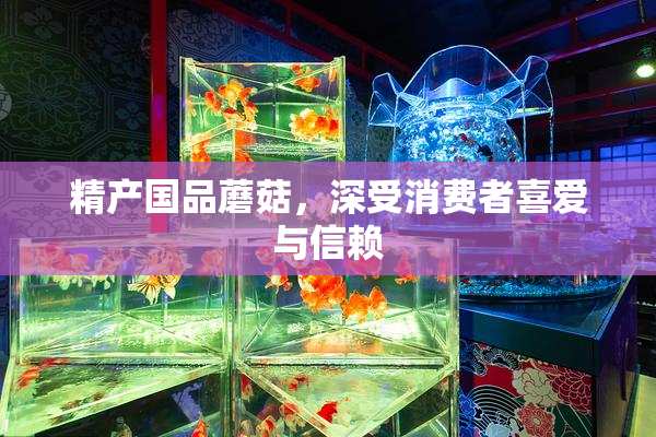 精产国品蘑菇，深受消费者喜爱与信赖