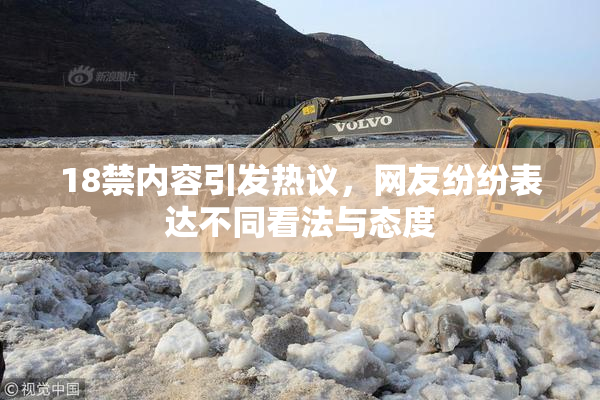 18禁内容引发热议，网友纷纷表达不同看法与态度
