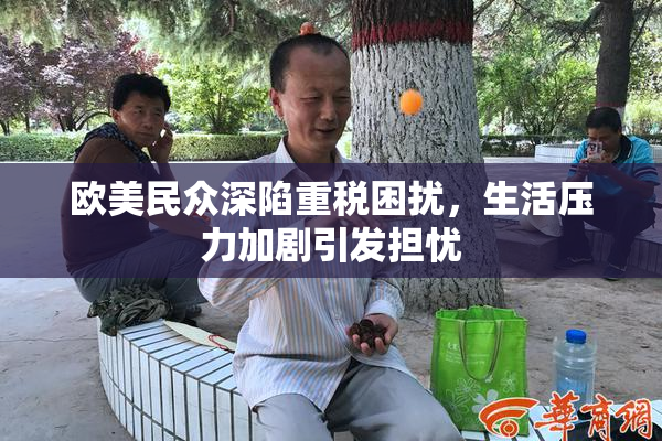 欧美民众深陷重税困扰，生活压力加剧引发担忧