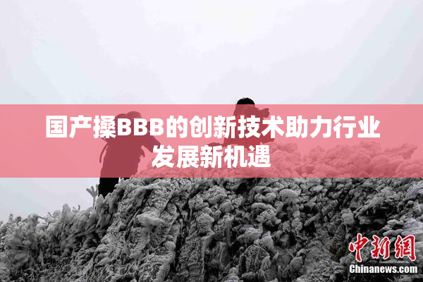 国产搡BBB的创新技术助力行业发展新机遇