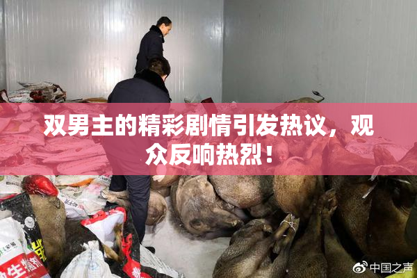 双男主的精彩剧情引发热议，观众反响热烈！