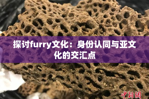 探讨furry文化：身份认同与亚文化的交汇点
