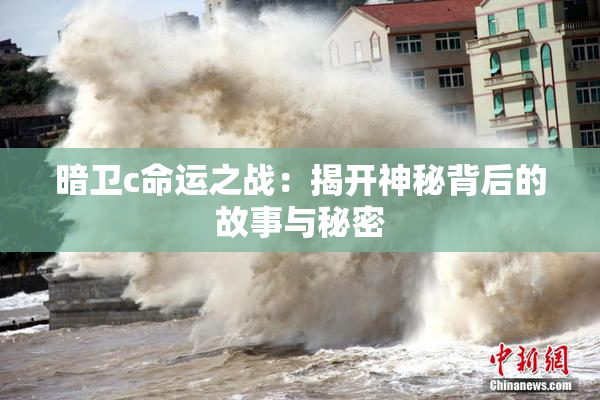 暗卫c命运之战：揭开神秘背后的故事与秘密