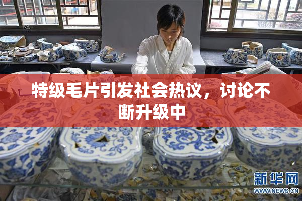 特级毛片引发社会热议，讨论不断升级中