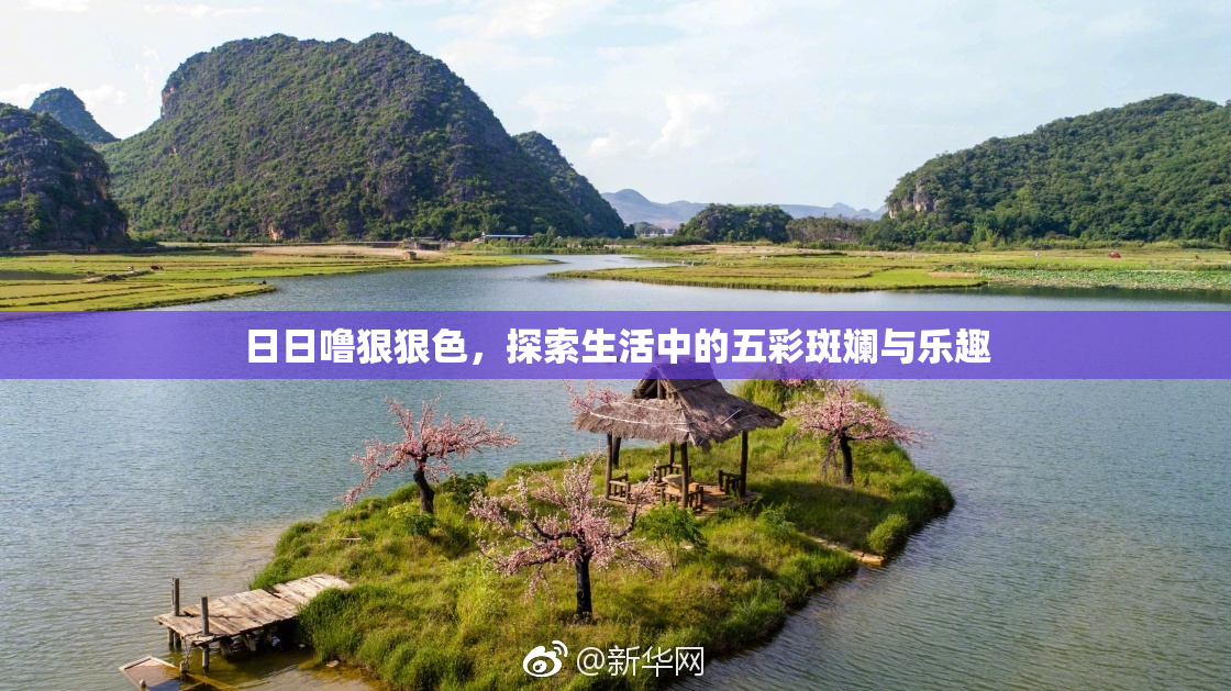 日日噜狠狠色，探索生活中的五彩斑斓与乐趣