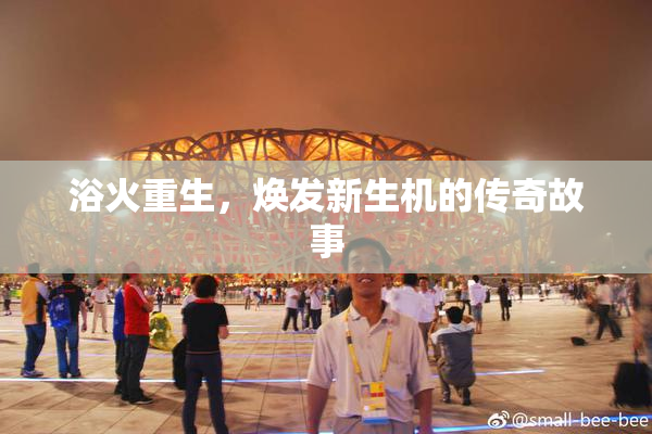 浴火重生，焕发新生机的传奇故事