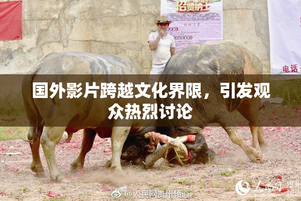 国外影片跨越文化界限，引发观众热烈讨论