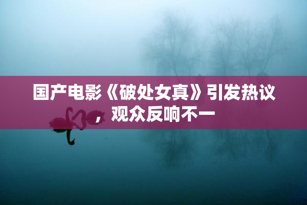 国产电影《破处女真》引发热议，观众反响不一