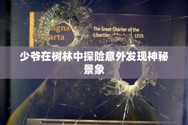 少爷在树林中探险意外发现神秘景象