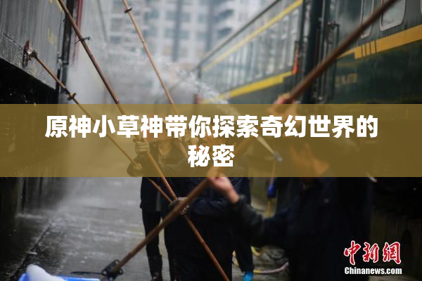 原神小草神带你探索奇幻世界的秘密