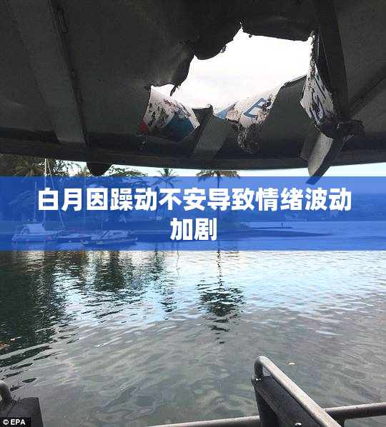 白月因躁动不安导致情绪波动加剧