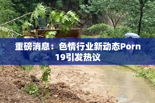 重磅消息：色情行业新动态Porn19引发热议