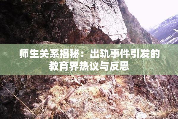 师生关系揭秘：出轨事件引发的教育界热议与反思