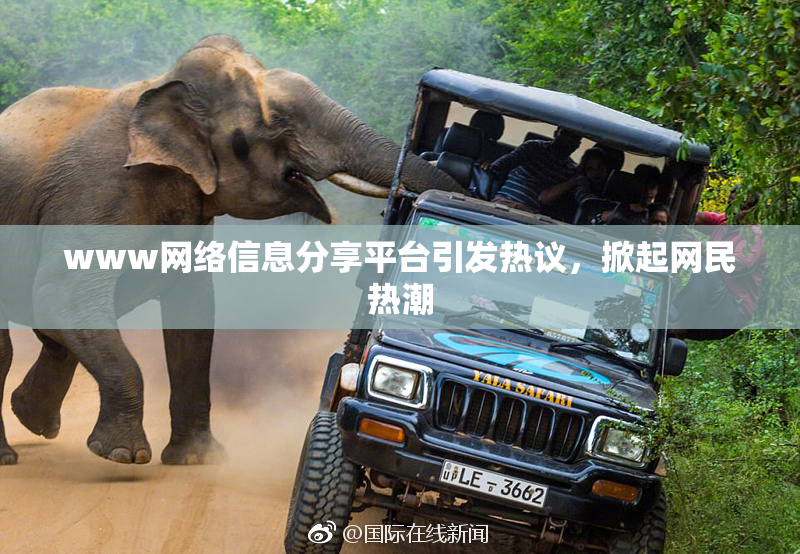 www网络信息分享平台引发热议，掀起网民热潮