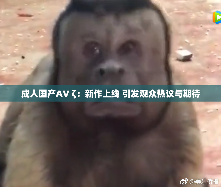 成人国产AV ζ：新作上线 引发观众热议与期待