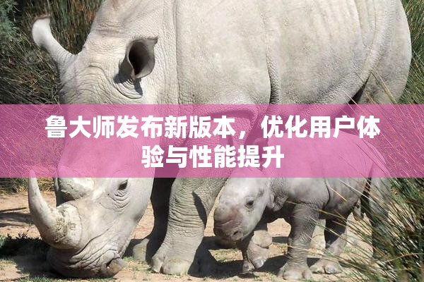 鲁大师发布新版本，优化用户体验与性能提升