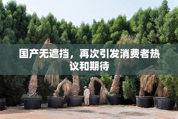 国产无遮挡，再次引发消费者热议和期待