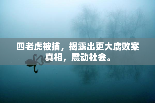 四老虎被捕，揭露出更大腐败案真相，震动社会。