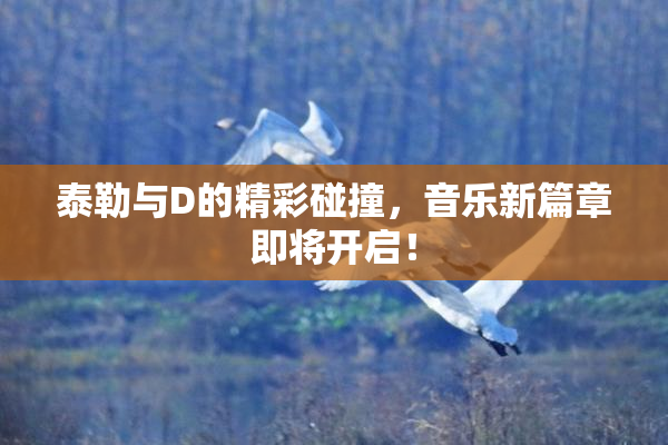 泰勒与D的精彩碰撞，音乐新篇章即将开启！