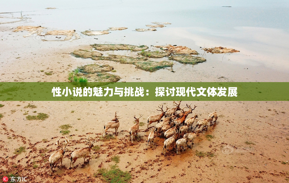 性小说的魅力与挑战：探讨现代文体发展