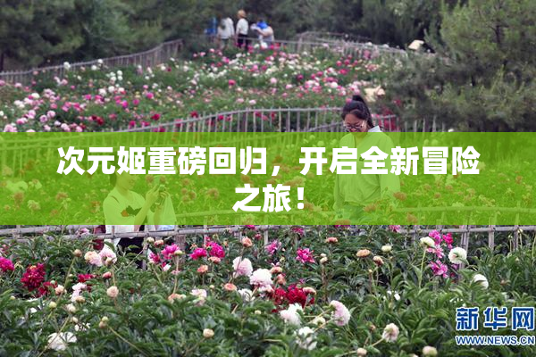 次元姬重磅回归，开启全新冒险之旅！