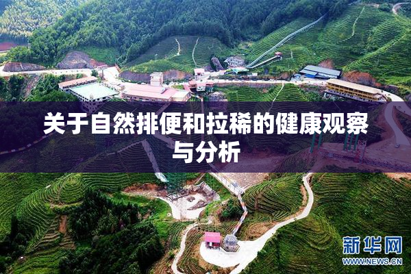 关于自然排便和拉稀的健康观察与分析