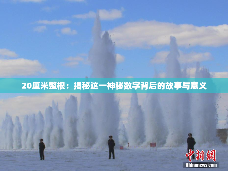 20厘米整根：揭秘这一神秘数字背后的故事与意义