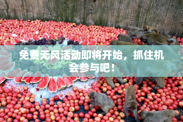 免费无风活动即将开始，抓住机会参与吧！