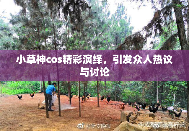 小草神cos精彩演绎，引发众人热议与讨论