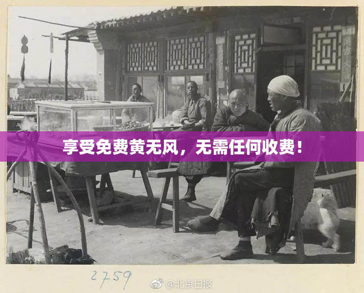 享受免费黄无风，无需任何收费！